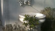 Image de l’objet