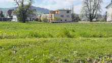 Listing picture