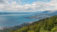 Immagine dell’oggetto