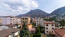 Immagine dell’oggetto
