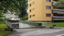 2342.18a.jpg