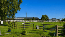 Listing picture