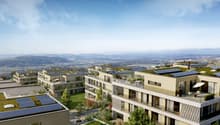Walde Immobilien AG