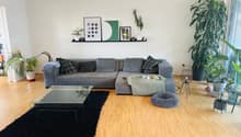 Listing picture