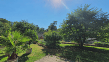Listing picture