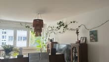 Listing picture