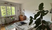 Listing picture