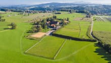 Gestüt Bommerten mit Weiden