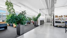 individueller Mieterausbau