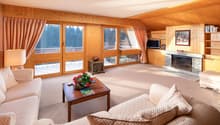 living room with fireplace, large windows, wooden walls, couches, coffee table, ottoman, lamp, shelves, TV