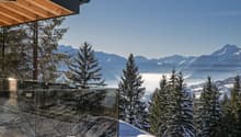 Glass wall, snow-covered mountains, pine trees, clear blue sky
