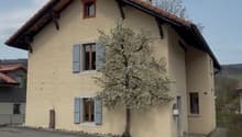 2 story house, beige walls, brown roof, windows with shutters, tree in front