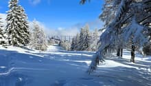 Paysage hivernal