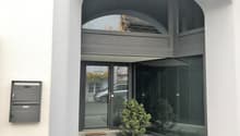 Immeuble