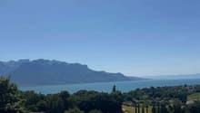 vue depuis balcon