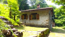 Single-story stone house with a tiled roof, surrounded by lush greenery including palm trees and ferns. The house has several windows and a small porch or balcony area.