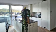 Listing picture