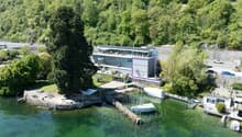 Immagine dell’oggetto
