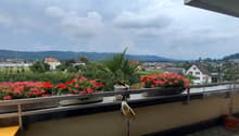 Listing picture