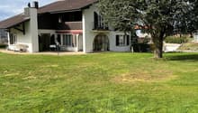2 story house, brown roof, white walls, large windows, balcony, garden, tree