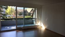 sliding glass doors, balcony, white wall, wooden floor, empty room