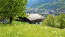 small wooden house, surrounded by grass and trees, mountain view