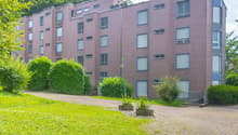 4 story building, multiple windows, green lawn, hedges, paved walkway