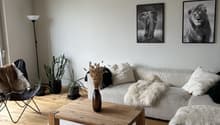 Listing picture