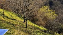 The image shows a scenic landscape with a grassy slope, bare trees, and some yellow foliage in the background. The view appears to be of a mountainous or hilly area.