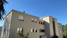 Multi-storey apartment building, beige paint, multiple windows, chimney, greenery in front, mountain in the background