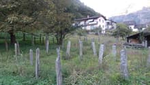 Listing picture