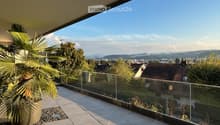 glass railing, tiled floor, outdoor potted plant, distant mountain view