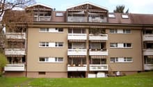 6 stories apartment building, brown color, multiple balconies, grass, tree, street