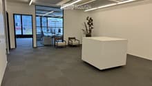 empty room, carpeted floor, white walls, large windows, desk, chairs, plant