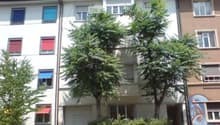 6 story white apartment building with trees and bushes in front, white garage door, red awnings, brown facade on the right side, graffiti on the right building