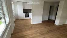 Empty room with light wooden flooring, white walls, and white kitchen cabinets in the corner. The room has large windows on one side and a doorway leading to another area.