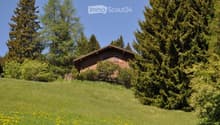 A wooden house with a sloped roof, surrounded by tall evergreen trees and a grassy lawn dotted with yellow flowers.