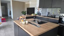 Modern kitchen with grey cabinets, wooden countertops, induction cooktop, sink, and various appliances. Includes a candle holder and a small plant on the counter.