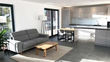 Modern open-plan living and dining area with grey sofa, wooden coffee table, dining table with chairs, and a sleek kitchen with cabinets and a countertop.