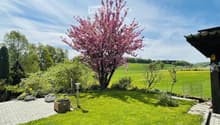 Well-maintained garden with a blooming pink tree, neatly trimmed grass, flower pots, and a brick pathway leading to a house.