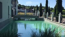 A serene swimming pool surrounded by a low fence, white balusters, and lush greenery, with a modern building in the background and a clear blue sky overhead.