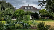 A well-maintained garden with a variety of plants and vegetables, featuring a white house with a red-tiled roof in the background.