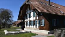 Traditional wooden house, brown roof, blue shutters, chimney, driveway, car parked, garden, wooden fence