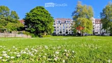 A well-maintained park area with green grass, white daisies, and trees, with a multi-story residential building in the background.
