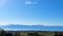 A panoramic view of a vineyard area with rows of grapevines, scattered houses, and a distant lake surrounded by snow-capped mountains under a clear blue sky.