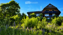 A two-story house with a pitched roof, surrounded by lush greenery and wildflowers under a clear blue sky.