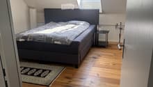 Modern bedroom with wooden flooring, a large bed with dark headboard, nightstand, and a patterned rug.