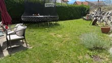 Lush green garden with a trampoline, a wicker chair with cushions, and a large umbrella on a patio.