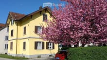 Two-story yellow house with brown shutters and a red-tiled roof, featuring multiple windows and a blooming pink tree in the front yard.