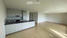 Empty room with light wooden flooring, white walls, and a modern kitchen area featuring grey cabinets, a black countertop, and stainless steel appliances.